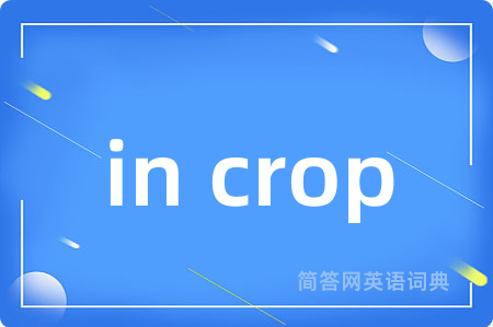 in crop