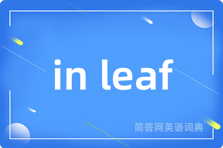 in leaf是什么意思,in leaf的中文翻译 in leaf