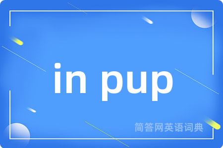 in pup