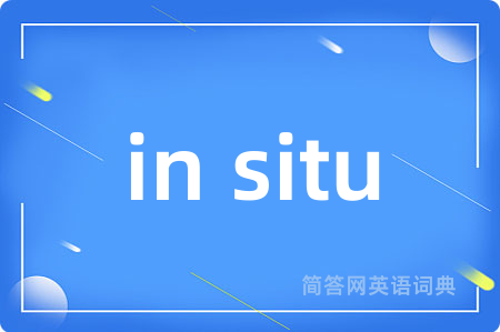 in situ是什么意思,in situ的中文翻译 in situ