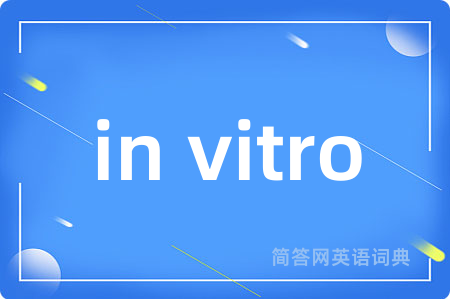 in vitro