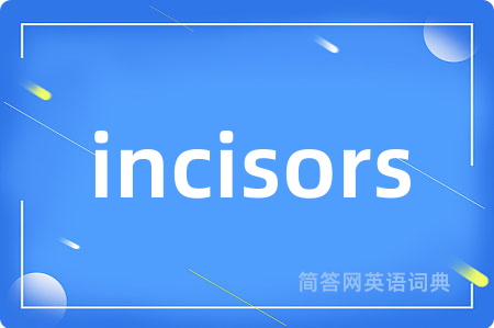 incisors是什么意思,incisors的中文翻译 incisors