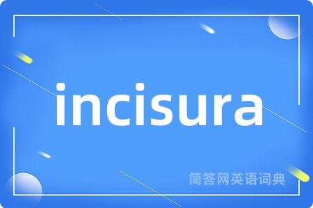 incisura