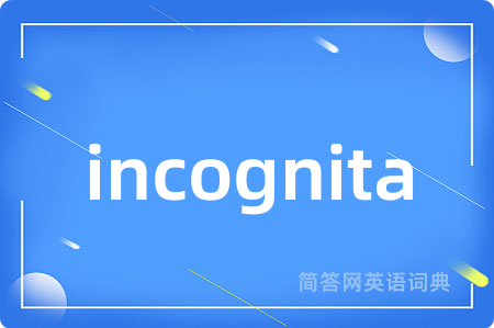 incognita是什么意思,incognita的中文翻译 incognita