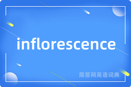inflorescence