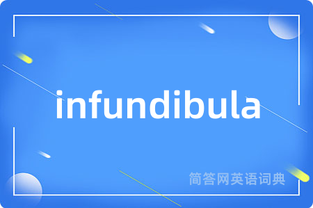 infundibula