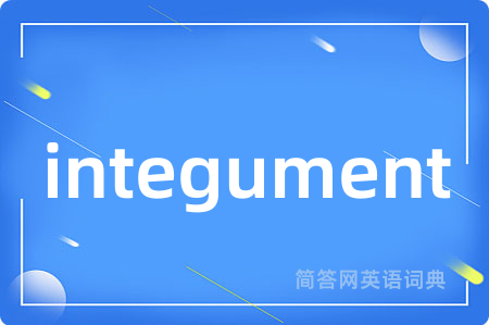 integument