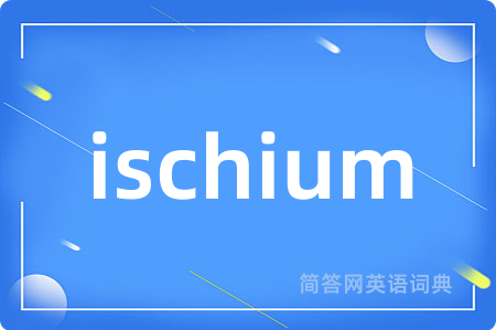 ischium