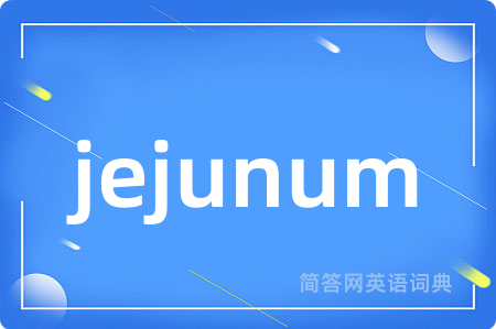 jejunum