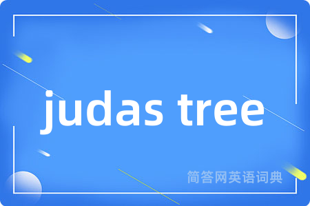 judas tree是什么意思,judas tree的中文翻译 judas tree