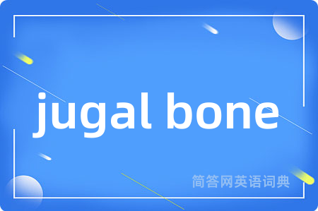 jugal bone