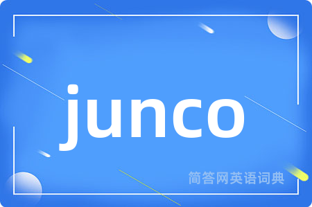 junco是什么意思,junco的中文翻译 junco