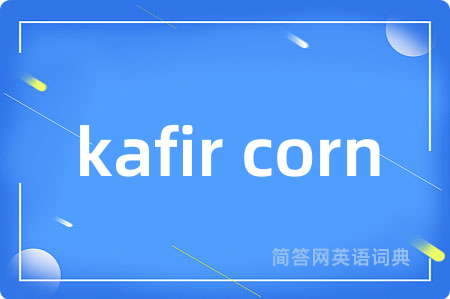 kafir corn是什么意思,kafir corn的中文翻译 kafir corn