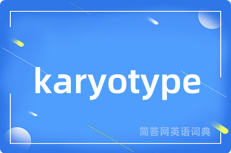 karyotype