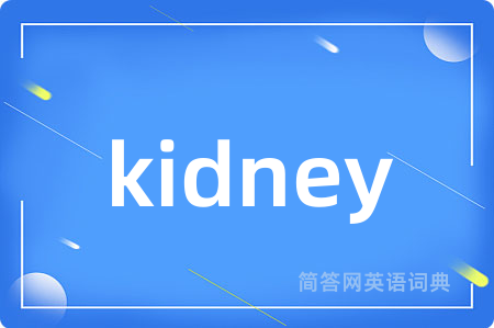 kidney是什么意思,kidney的中文翻译 kidney