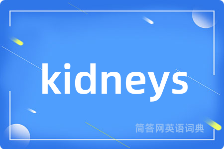 kidneys