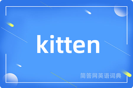 kitten