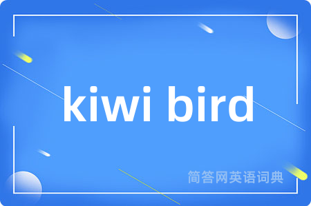 kiwi bird
