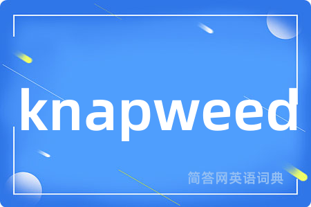 knapweed