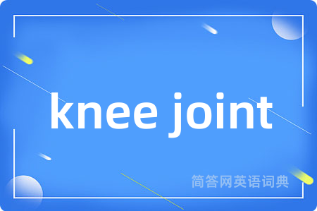 knee joint是什么意思,knee joint的中文翻译 knee joint