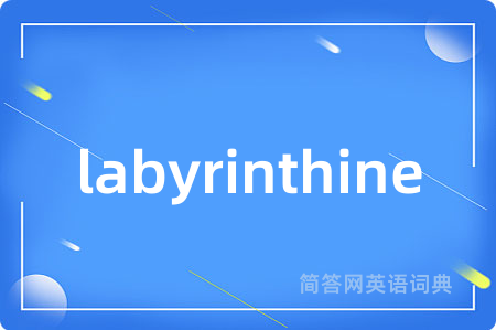 labyrinthine是什么意思,labyrinthine的中文翻译 labyrinthine