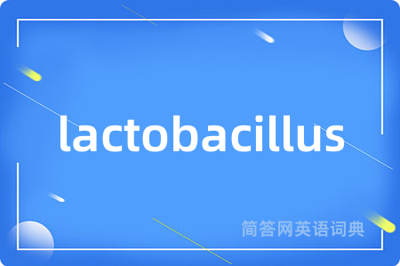 lactobacillus