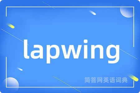 lapwing