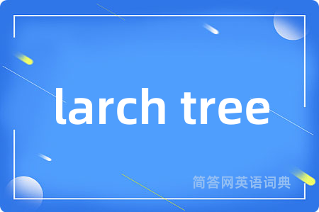 larch tree