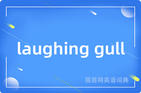 laughing gull是什么意思,laughing gull的中文翻译 laughing gull