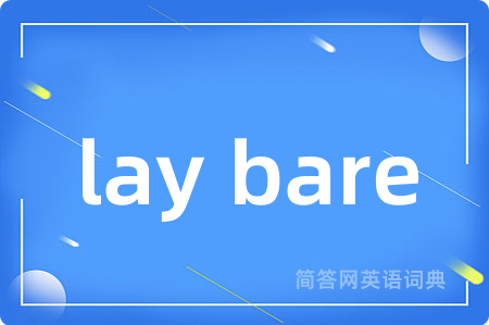 lay bare是什么意思,lay bare的中文翻译 lay bare