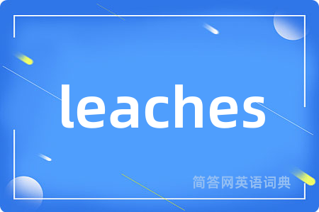 leaches