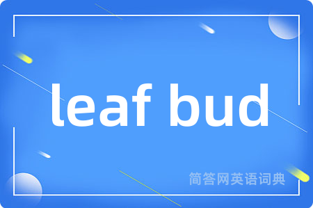 leaf bud