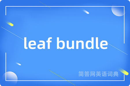 leaf bundle