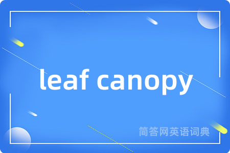 leaf canopy
