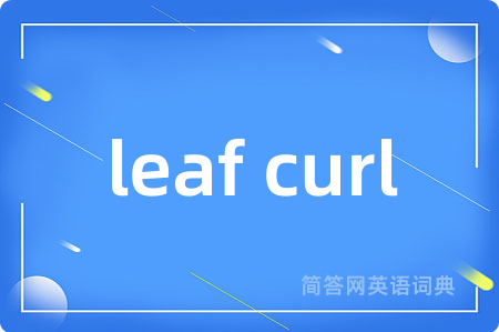 leaf curl