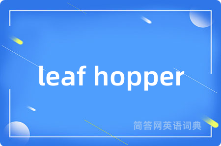 leaf hopper