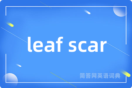 leaf scar是什么意思,leaf scar的中文翻译 leaf scar