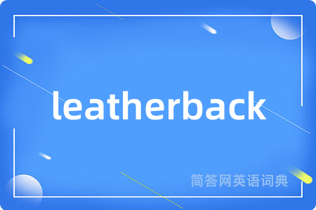 leatherback是什么意思,leatherback的中文翻译 leatherback