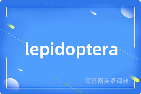 lepidoptera