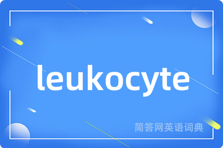 leukocyte