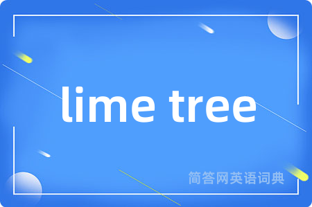lime tree