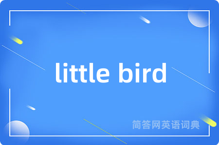 little bird是什么意思,little bird的中文翻译 little bird