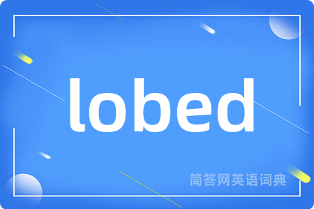 lobed是什么意思,lobed的中文翻译 lobed