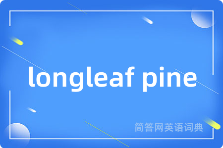 longleaf pine