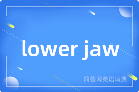 lower jaw