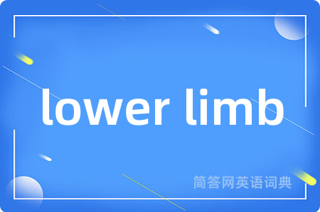 lower limb