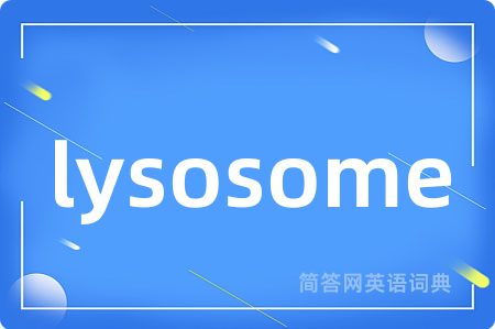 lysosome