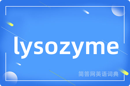 lysozyme