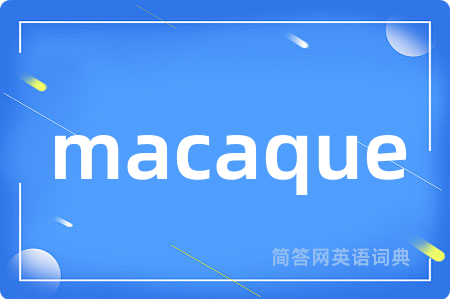 macaque