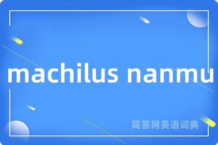 machilus nanmu是什么意思,machilus nanmu的中文翻译 machilus nanmu
